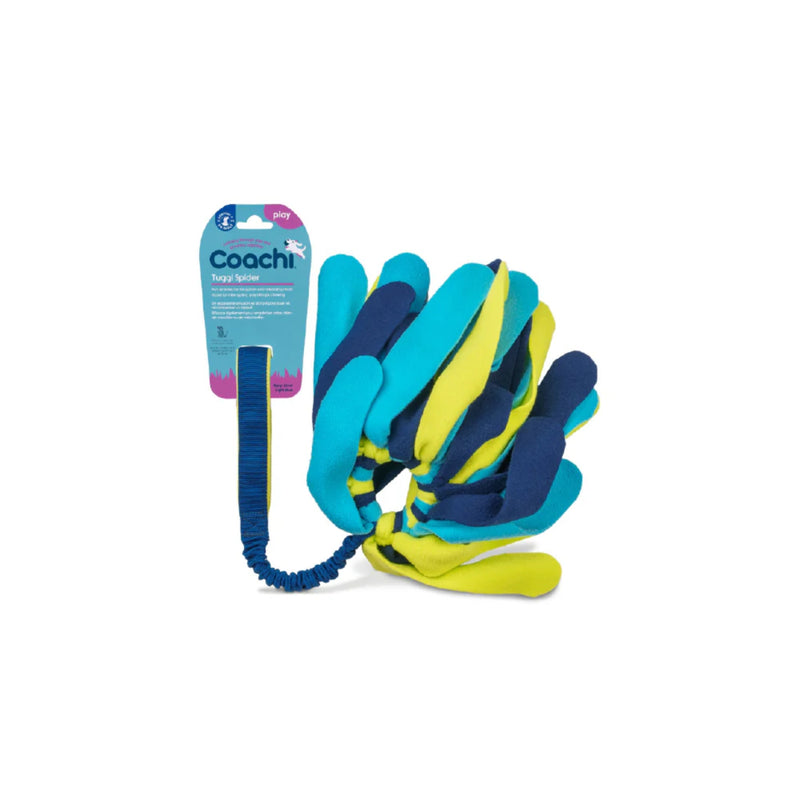 Company of Animals Coachi Tuggi Spider