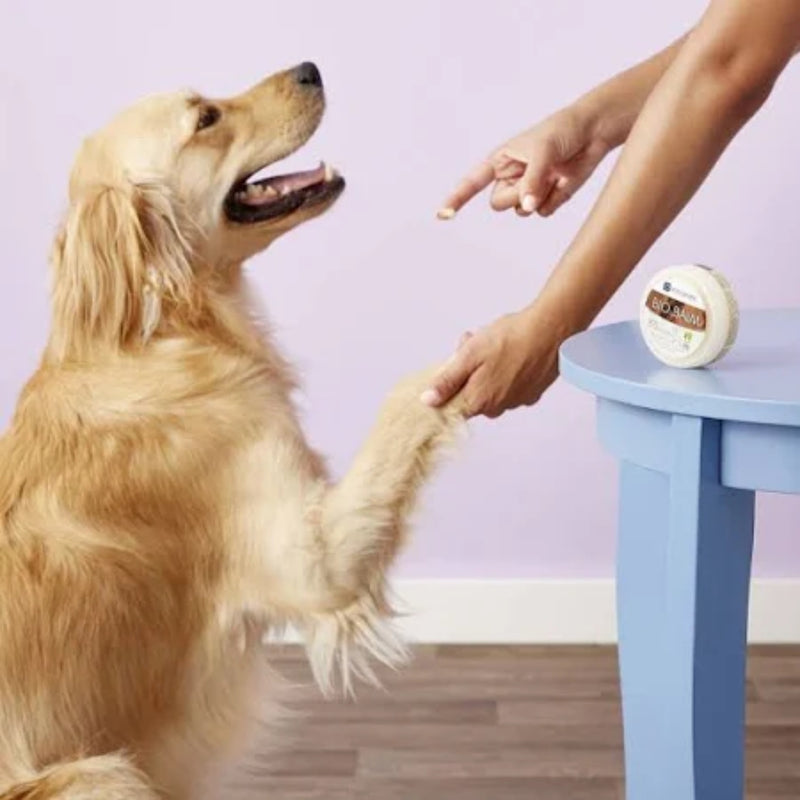 Dermoscent Bio Balm for Dogs 50ml