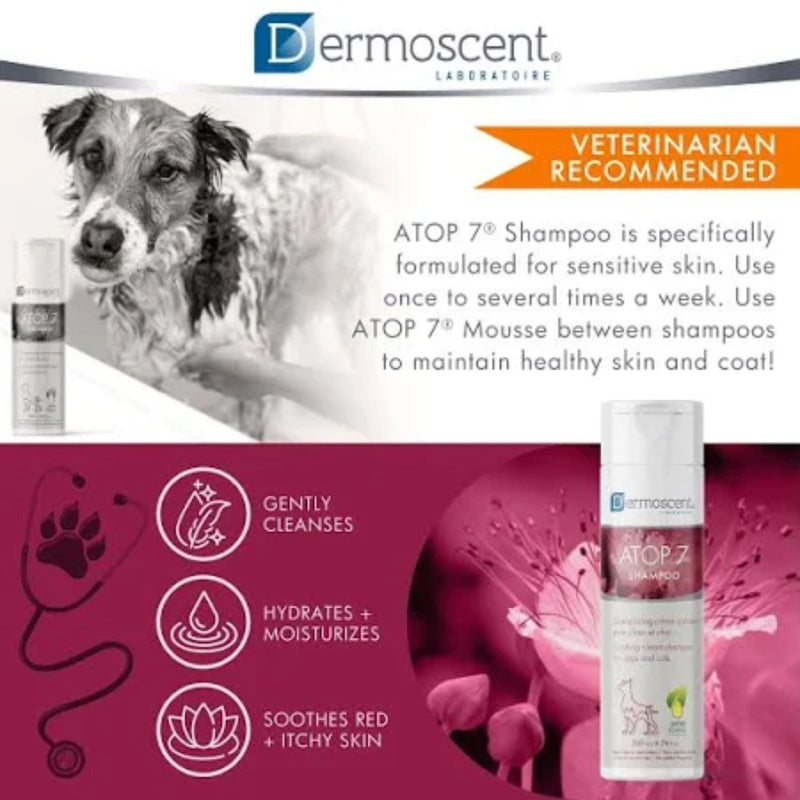Dermascent Atop 7® 200ml Medicated Shampoo for Dogs & Cats