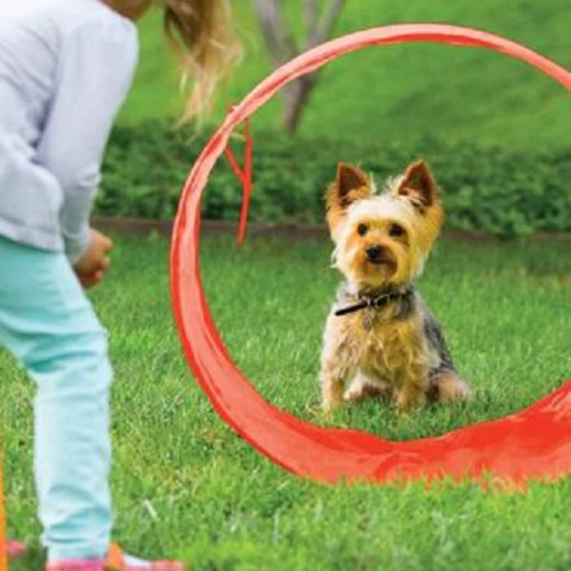 Outward Hound Zip & Zoom Outdoor Agility Kit