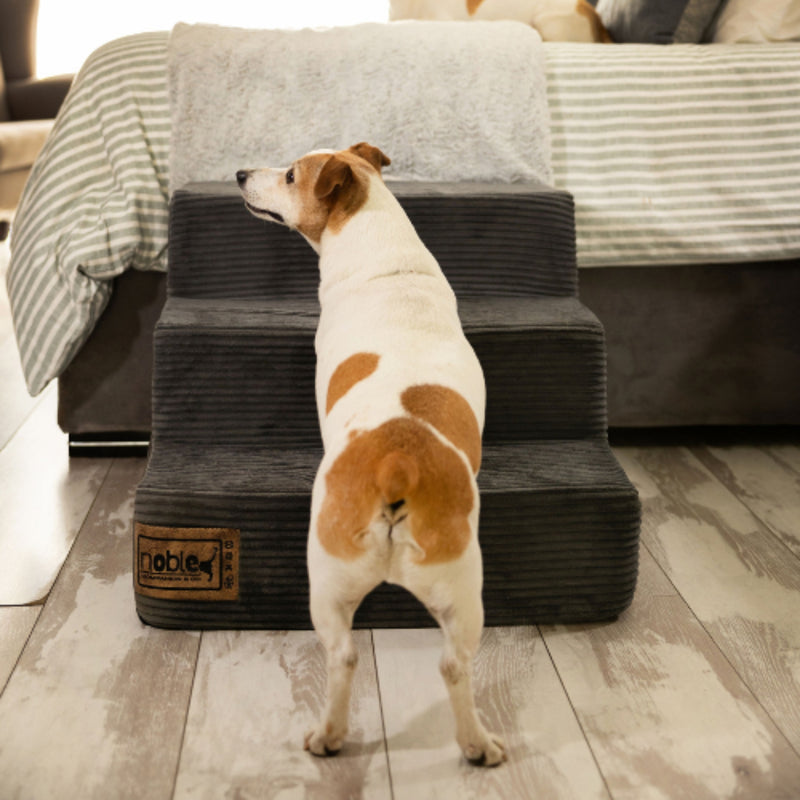 The Step Up Dog Stairs