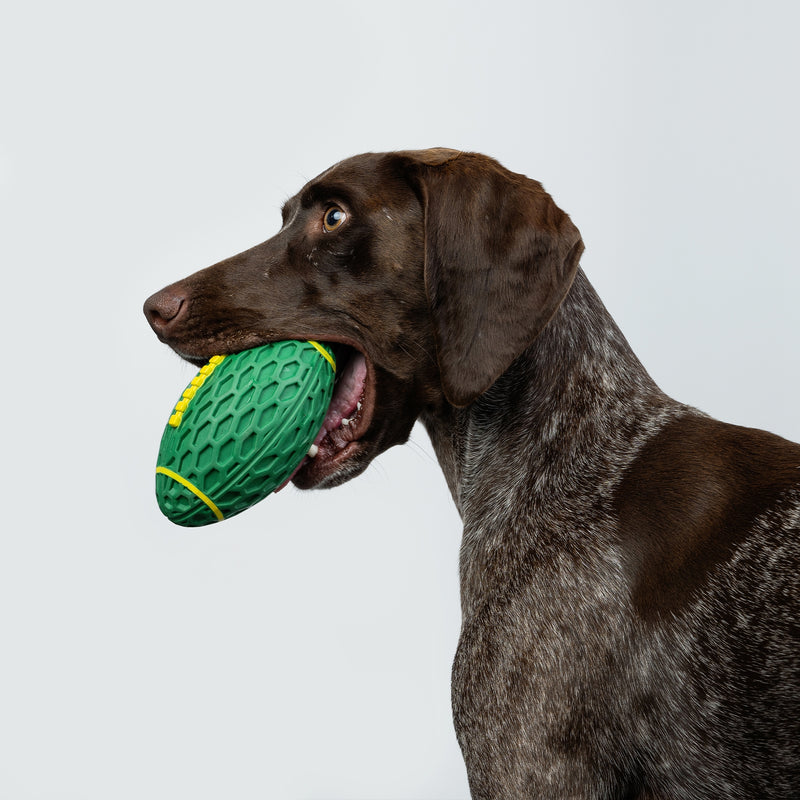 Zugo Rugby Interactive Squeaky Ball Natural Rubber Dog Toy