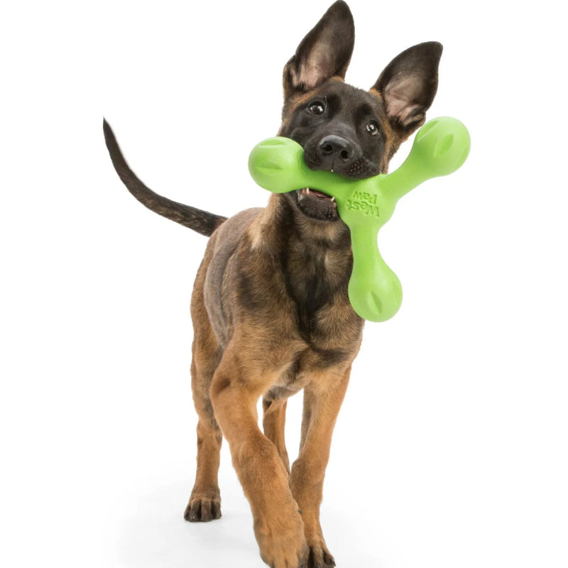 West Paw Zogoflex Skamp – Bouncy Fetch & Tug Dog Toy