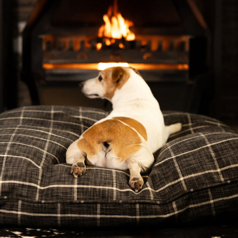 The Canine Cloud Orthopedic Indoor Dog Bed