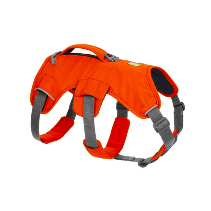 Ruffwear Web Master Multi-Use Dog Harness