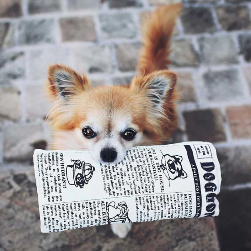 Pet Qwerks® Krinkle Newspaper Dog Toy