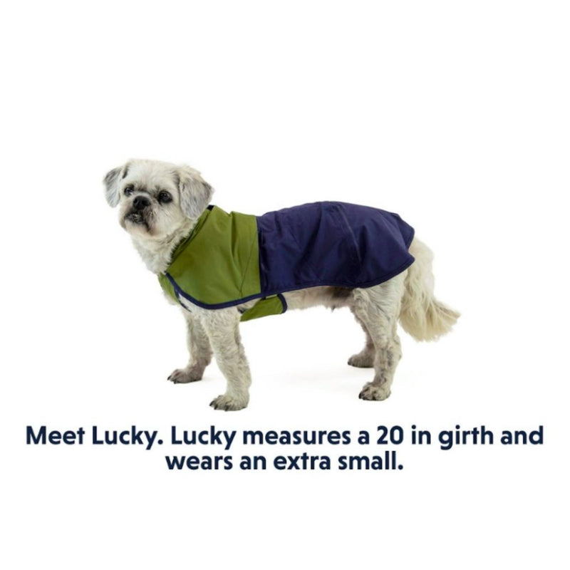 Ruffwear Sun Shower™ Dog Raincoat – Waterproof Windbreaker with Leash Portal