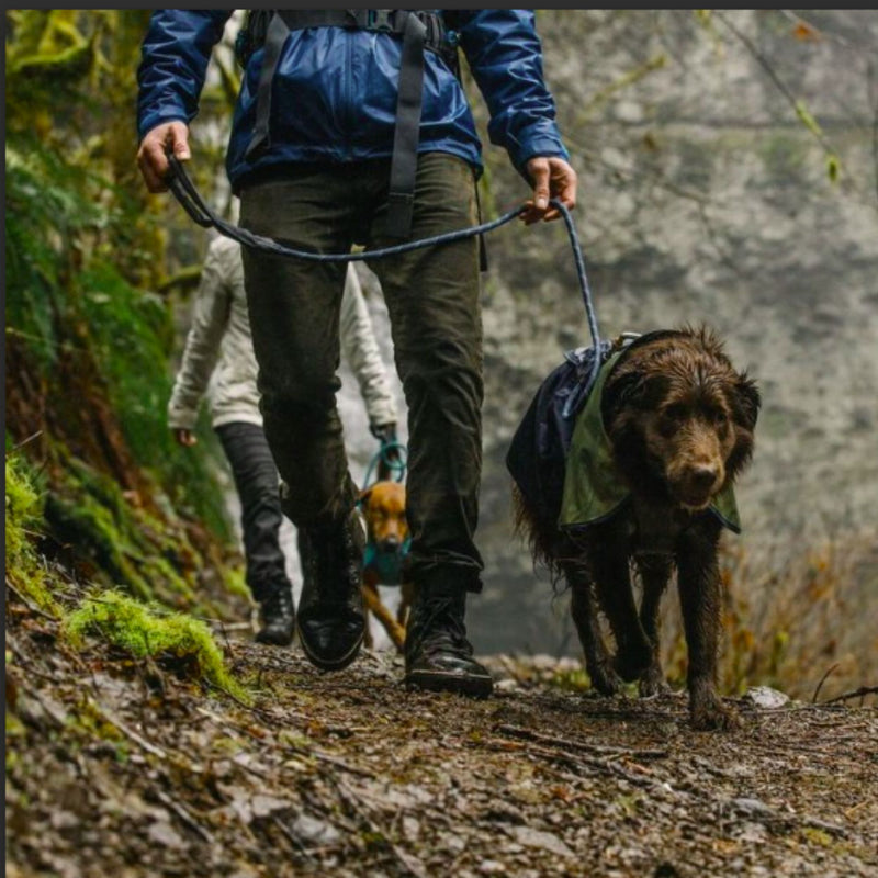 Ruffwear Sun Shower™ Dog Raincoat – Waterproof Windbreaker with Leash Portal