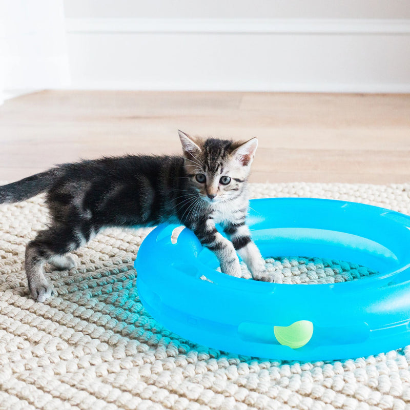 Fat Cat Crazy Circle Cat Toy