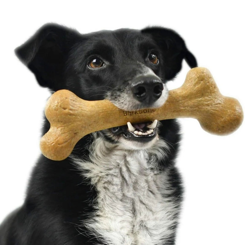 Pet Qwerks® Dino Wood BarkBone Chew Toy Peanut Butter Flavour