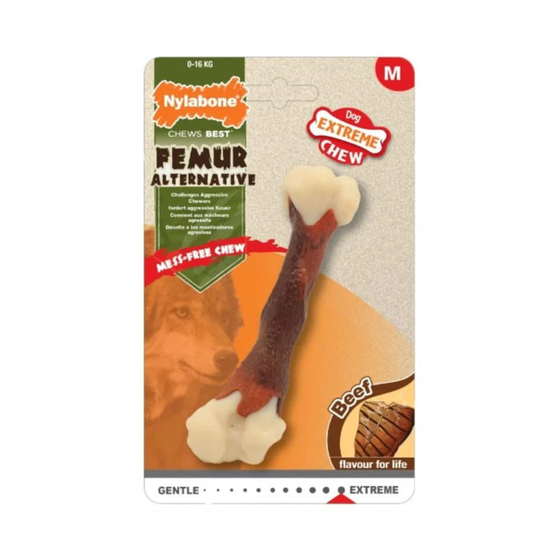 Nylabone Natural Alternatives Extreme Femur Bone – Beef Flavour Chew