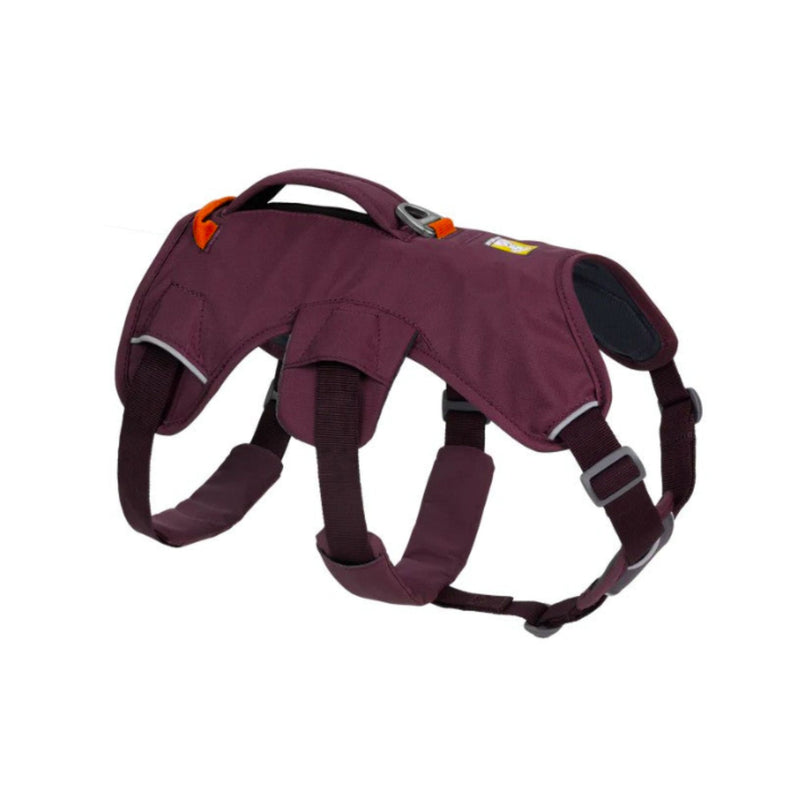 Ruffwear Web Master Multi-Use Dog Harness