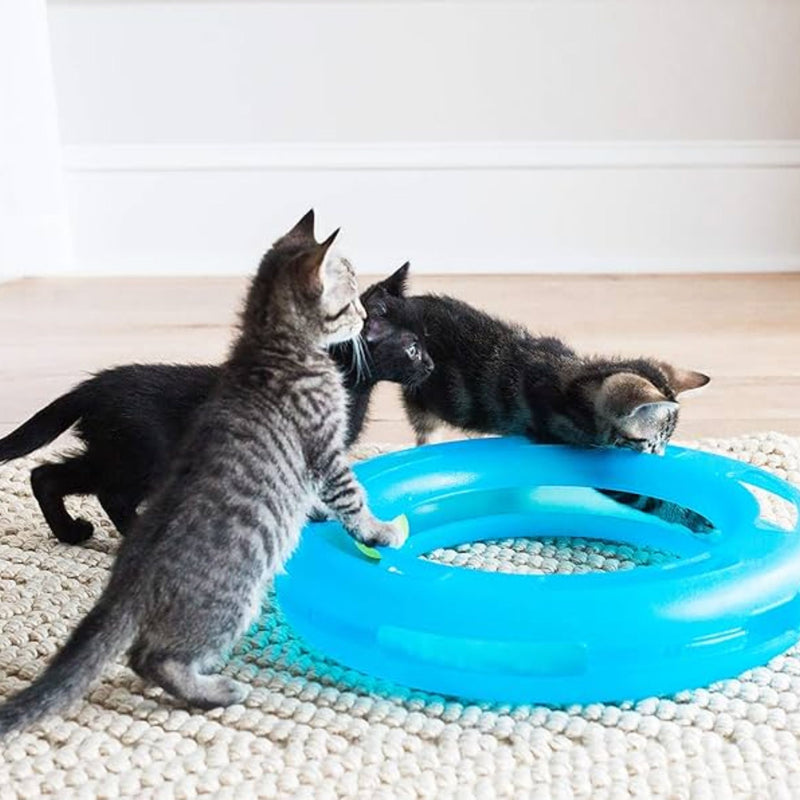 Fat Cat Crazy Circle Cat Toy