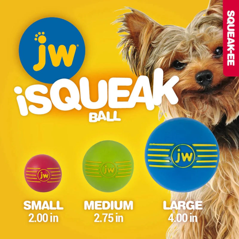 JW iSqueak Rubber Ball Durable Squeaky Dog Toy