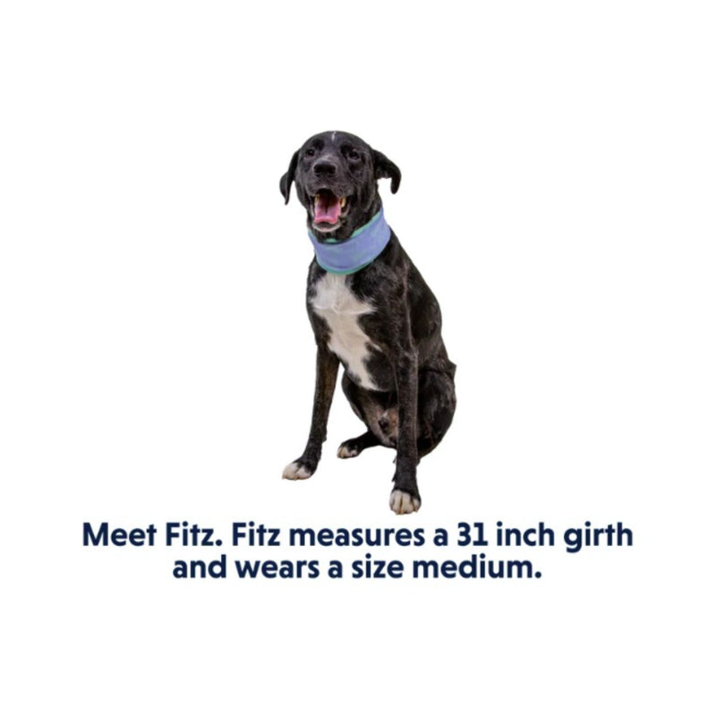 Ruffwear Swamp Cooler™ Neck Gaiter – Reversible Cooling Dog Accessory