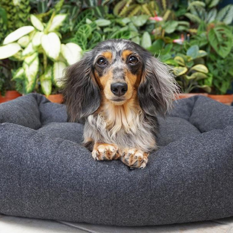 Rosewood Grey Felt Memory Foam Pet Bed