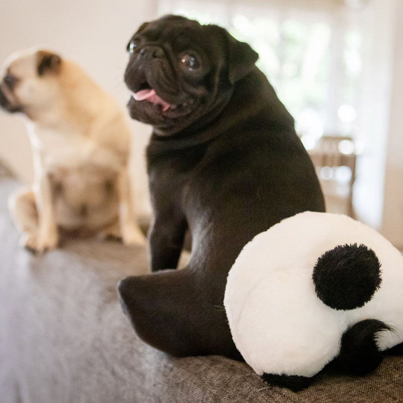 Takamisu Bum Bums Dog Toy – Panda Vibration Plush