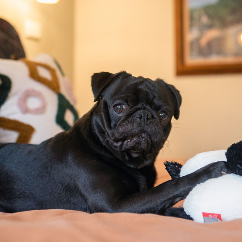 Takamisu Bum Bums Dog Toy – Panda Vibration Plush