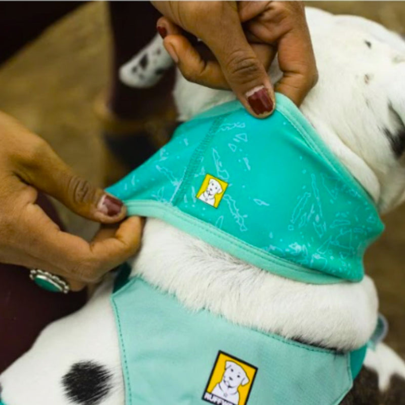 Ruffwear Swamp Cooler™ Neck Gaiter – Reversible Cooling Dog Accessory