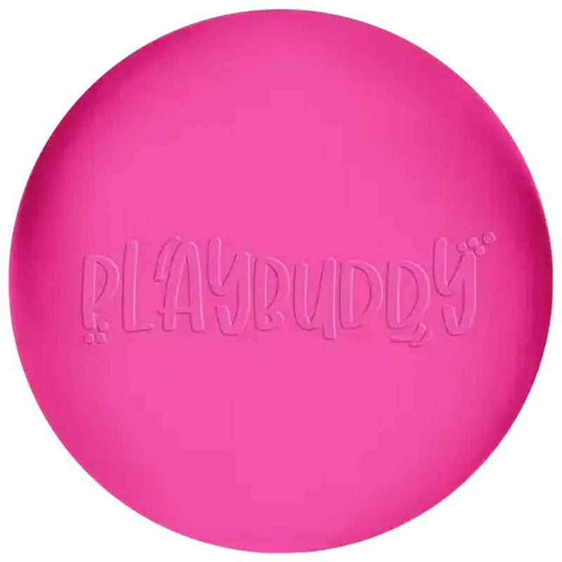 Playbuddy Natural Rubber Frisbee for Dogs