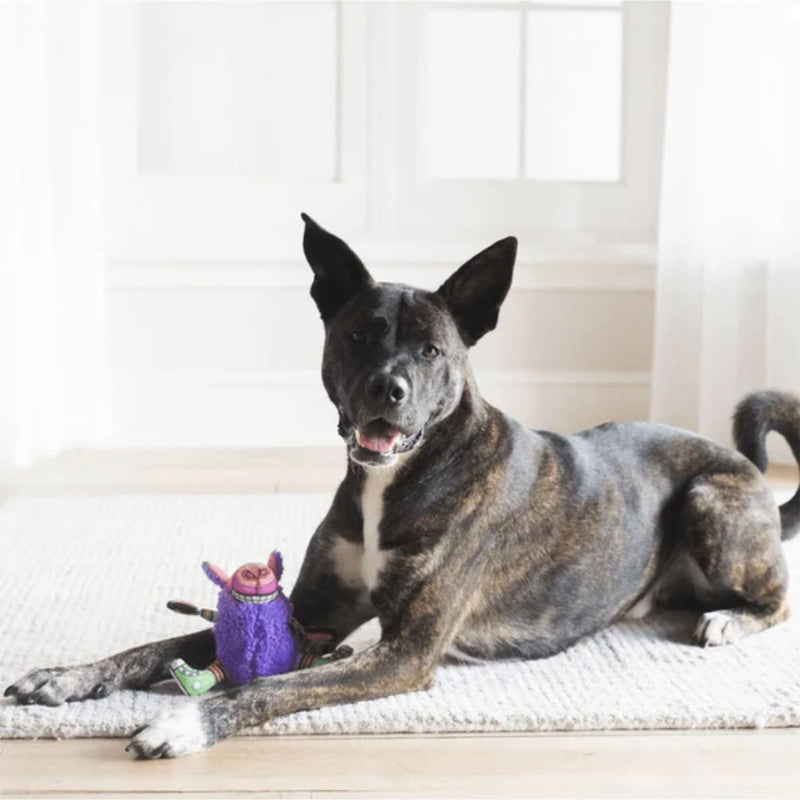 Fat Cat Gruntleys Grunting Pig Dog Toy