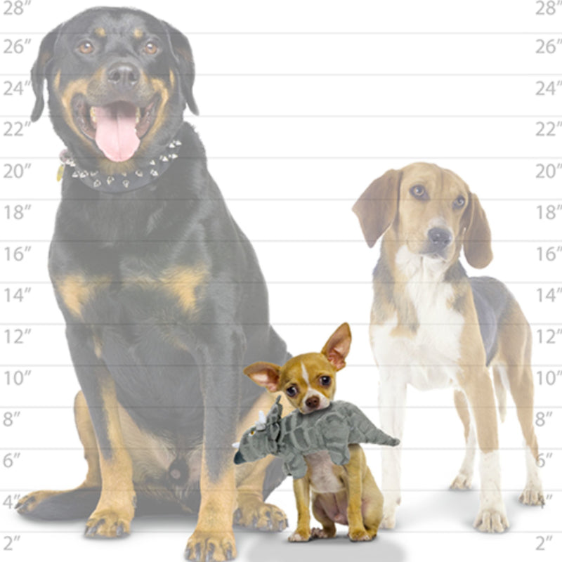 Mighty Dinosaur Triceratops Super Soft Plush Dog Toy