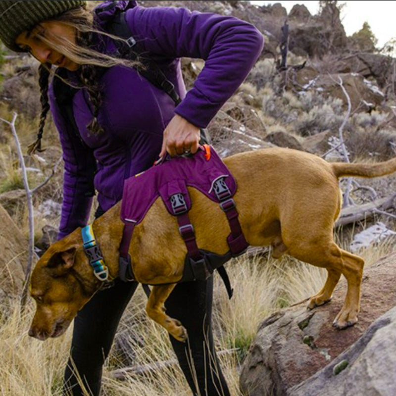 Ruffwear Web Master Multi-Use Dog Harness