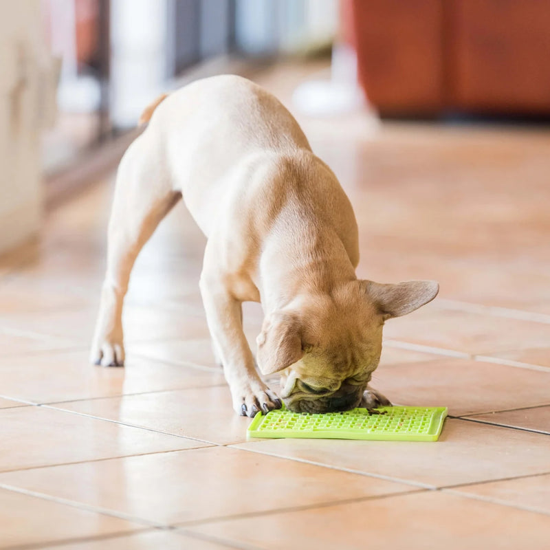 LickiMat® Classic Buddy™ Enrichment Slow Feeder Mat