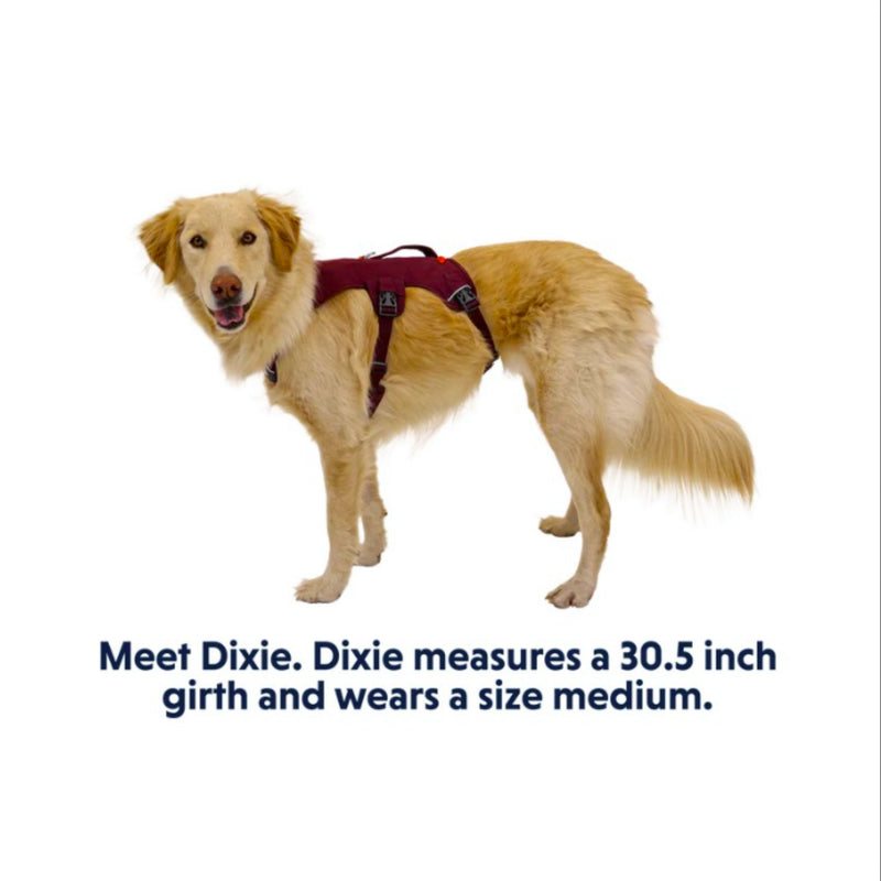 Ruffwear Web Master Multi-Use Dog Harness