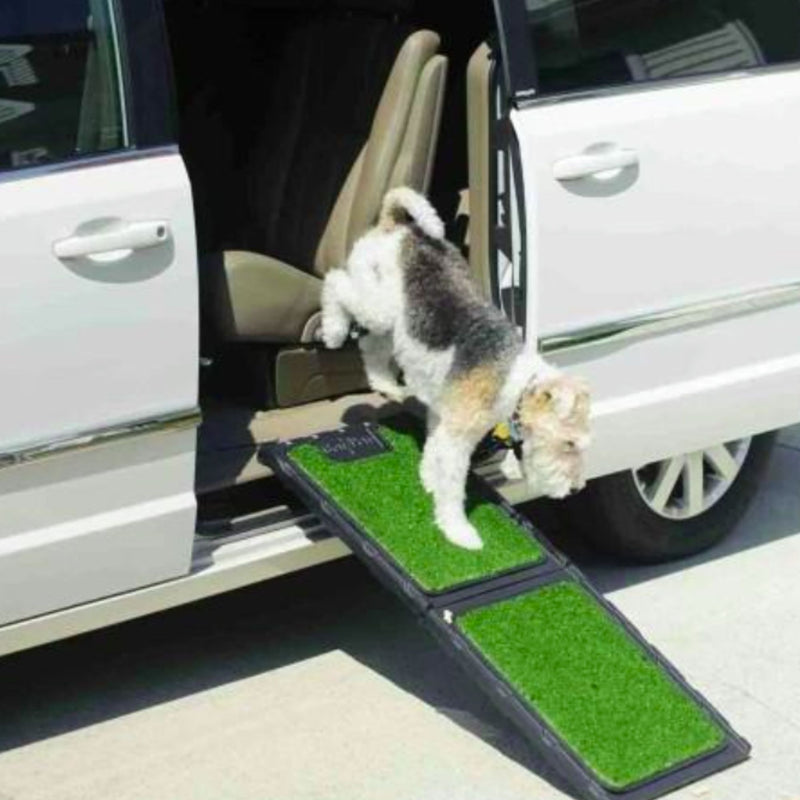 Petmate Gen7Pets Natural-Step Car Ramp for Dogs