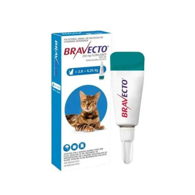 Bravecto Spot-On for Cats