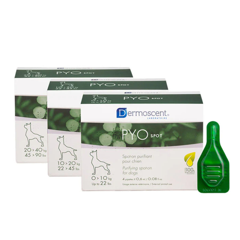 Dermoscent PYOspot Dog Treatment 4’s Purifying Spot-On for Skin Infections