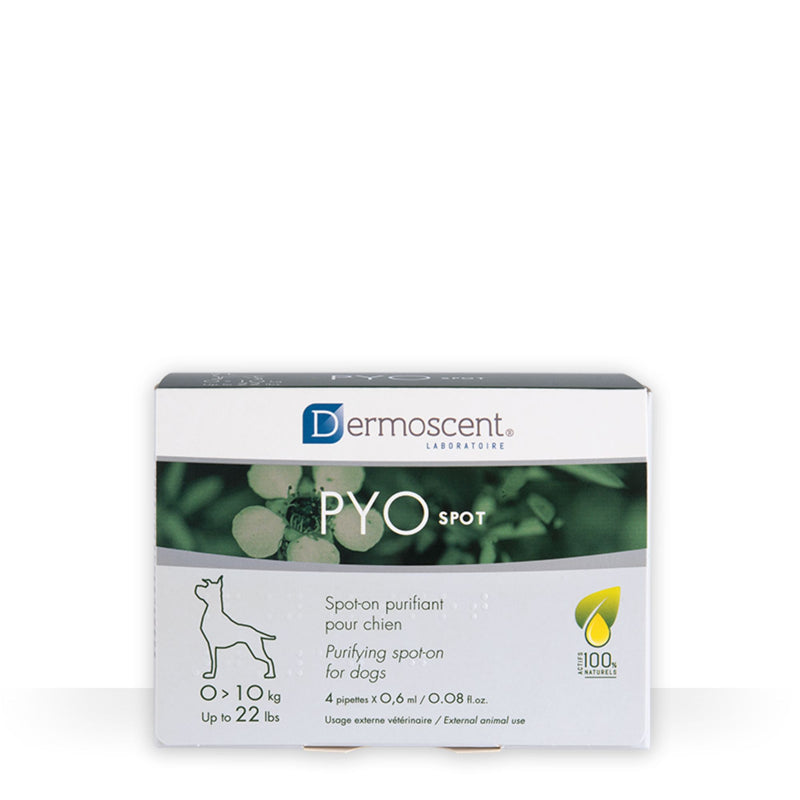 Dermoscent PYOspot Dog Treatment 4’s Purifying Spot-On for Skin Infections