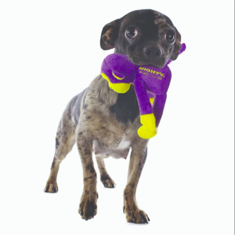 Mighty Safari Monkey Plush Dog Toy