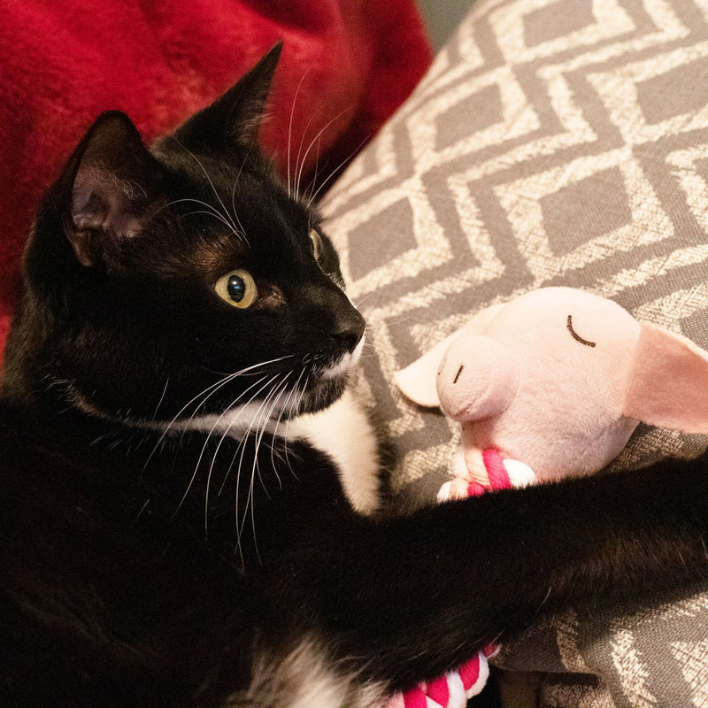 Rosewood Pig in a Blanket Cat Toy Twisted Rope & Catnip Christmas Toy