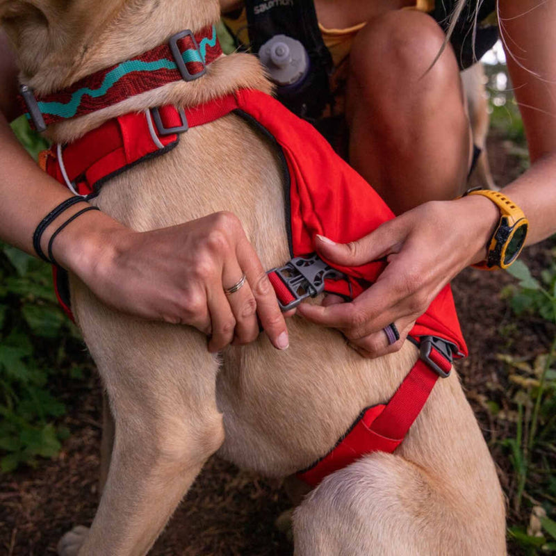 Ruffwear Web Master Multi-Use Dog Harness