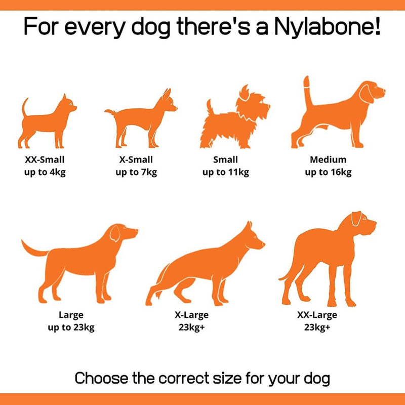 Nylabone Extreme Chew Shish Kebab – Chicken Flavour