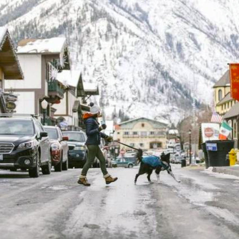 Ruffwear Stumptown Quilted Dog Coat