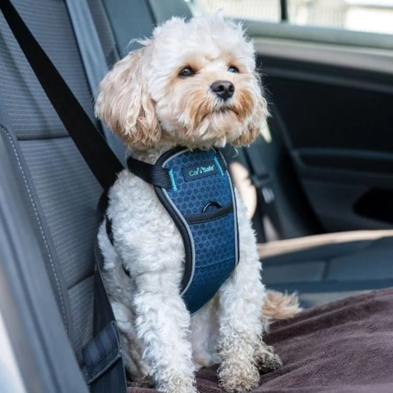 Company of Animals CarSafe Crash-Tested Dog Harness