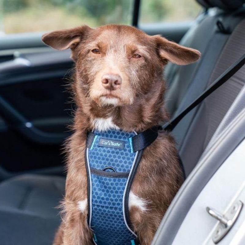 Company of Animals CarSafe Crash-Tested Dog Harness