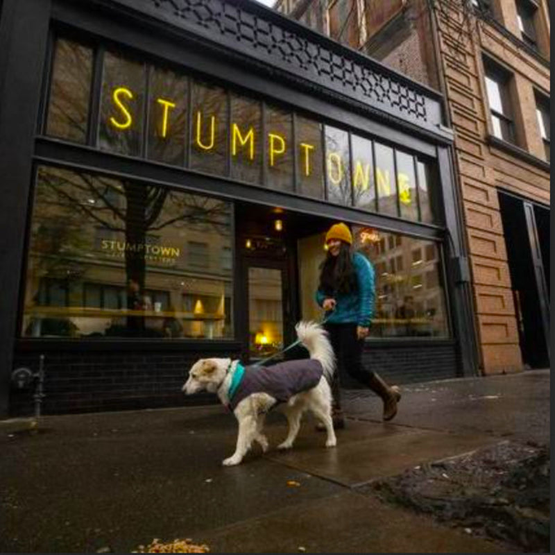 Ruffwear Stumptown Quilted Dog Coat