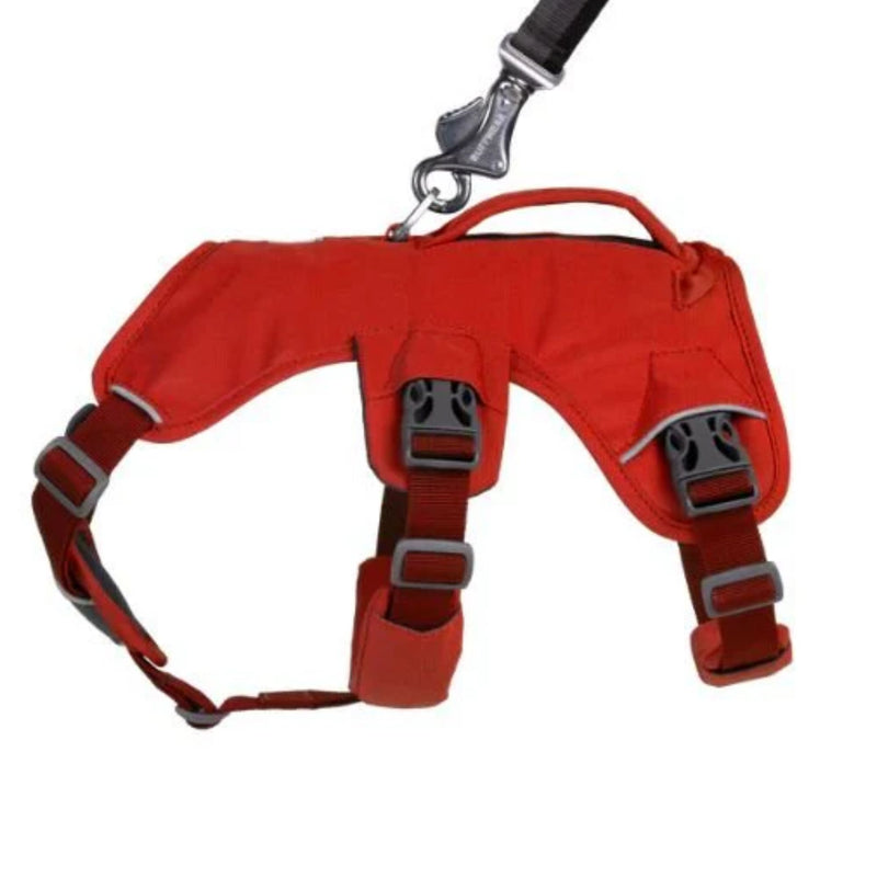 Ruffwear Web Master Multi-Use Dog Harness