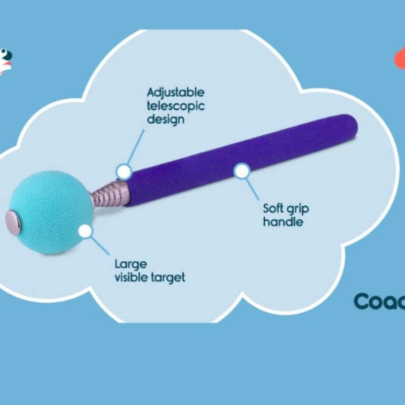 Company of Animals Coachi Target Stick