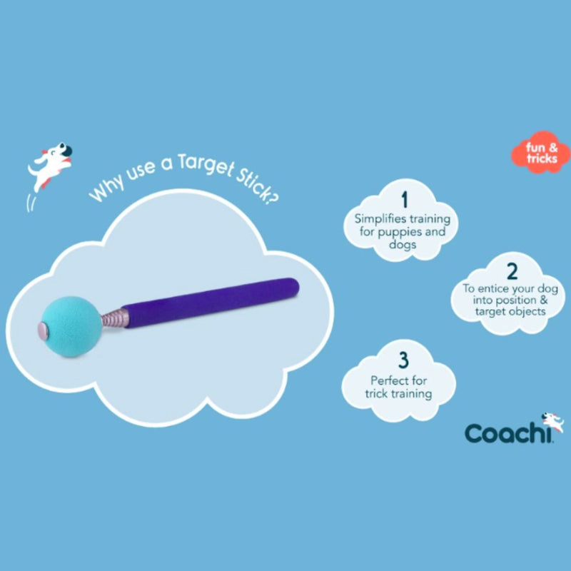 Company of Animals Coachi Target Stick