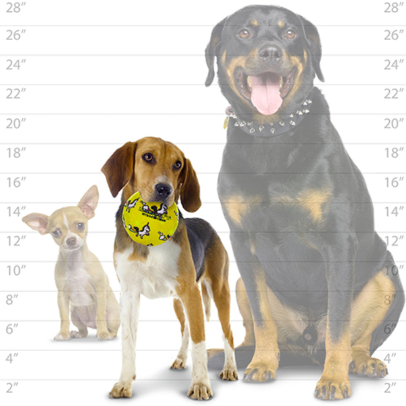 Mighty No Stuff! Ball Plush Dog Toy