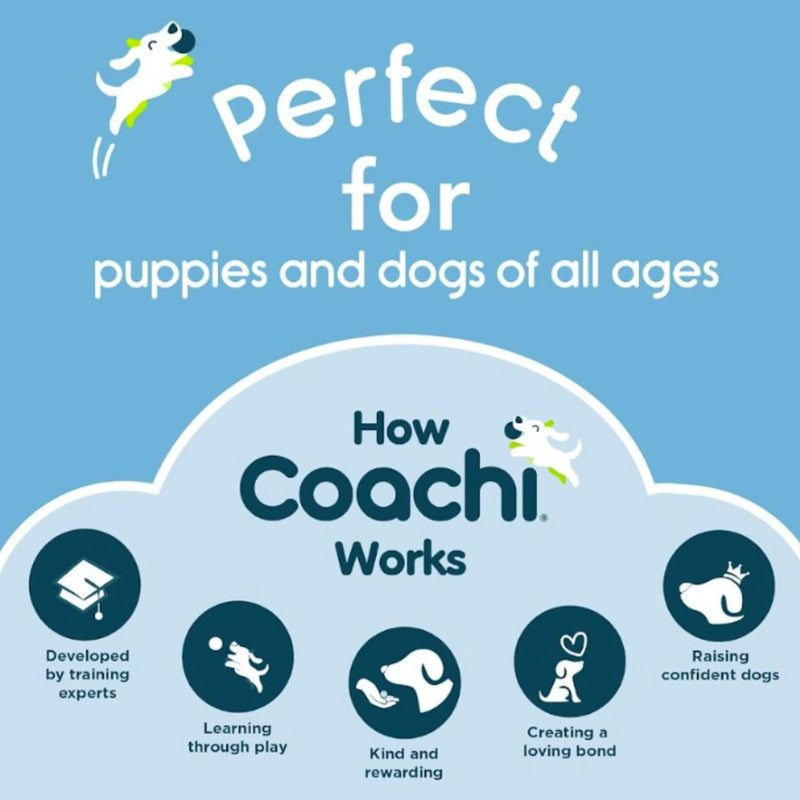 Company of Animals Coachi Professional Whistle