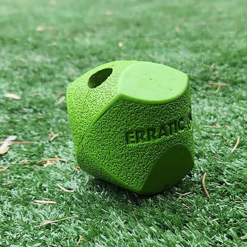 Chuckit! Erratic Ball Fetch Dog Toy