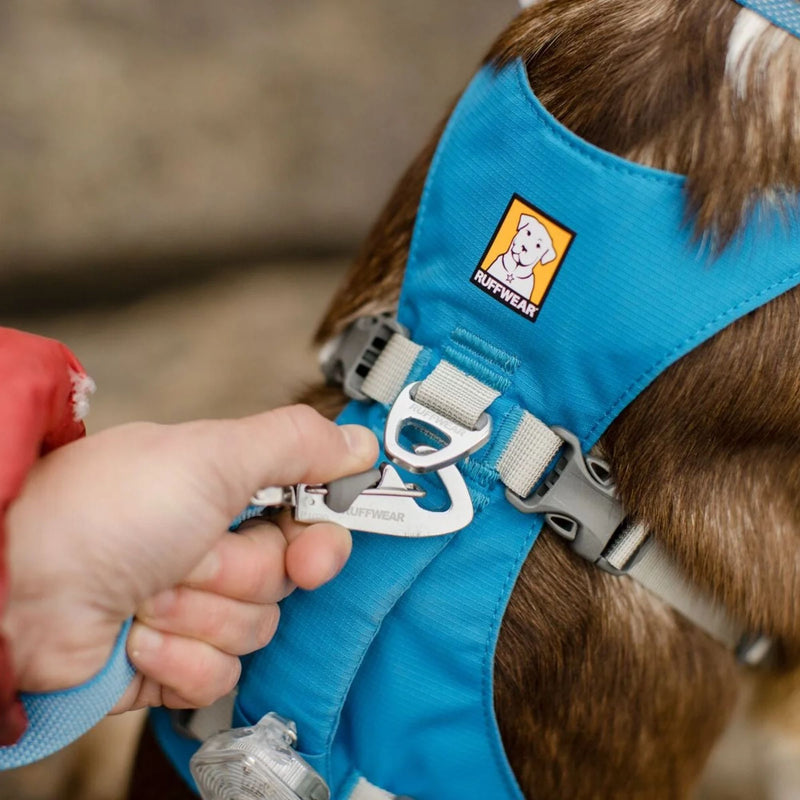 Ruffwear Web Master Multi-Use Dog Harness