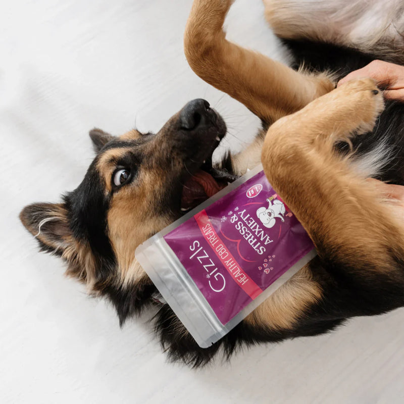 Gizzls  Stress & Anxiety CBD Treats for Medium/Large Dogs