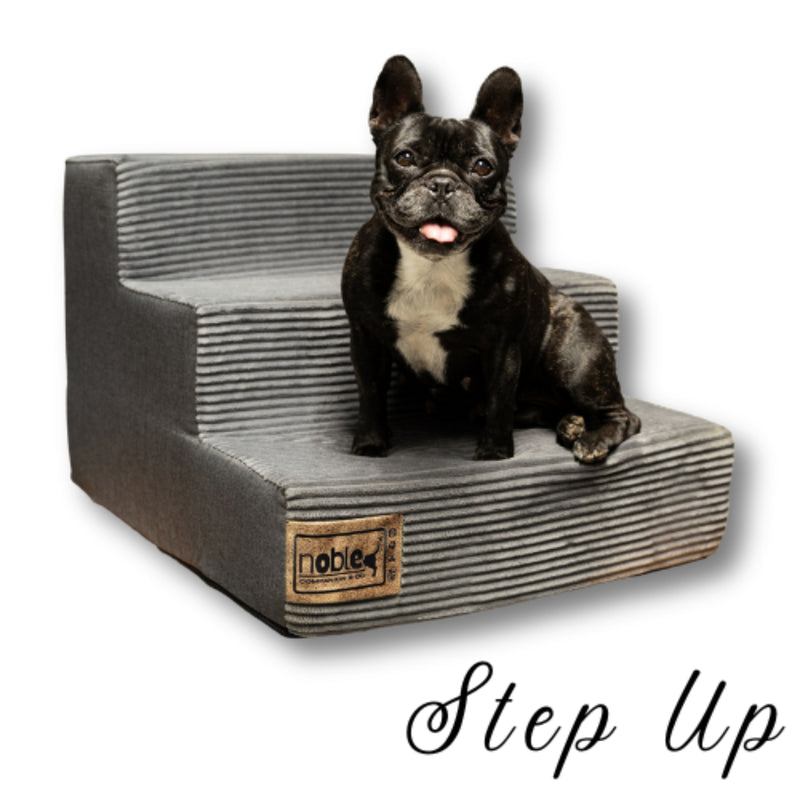 The Step Up Dog Stairs